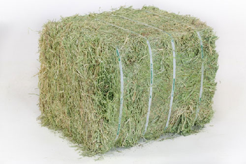 Double Compressed Full Bale